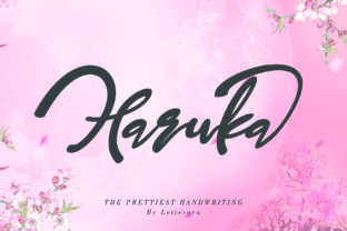 Haruka Font Review: Bold Editorial Typography