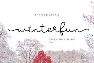 Winterfun: A Charming Script Font for Your Brand